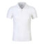 Polo-t-shirt-2.jpg